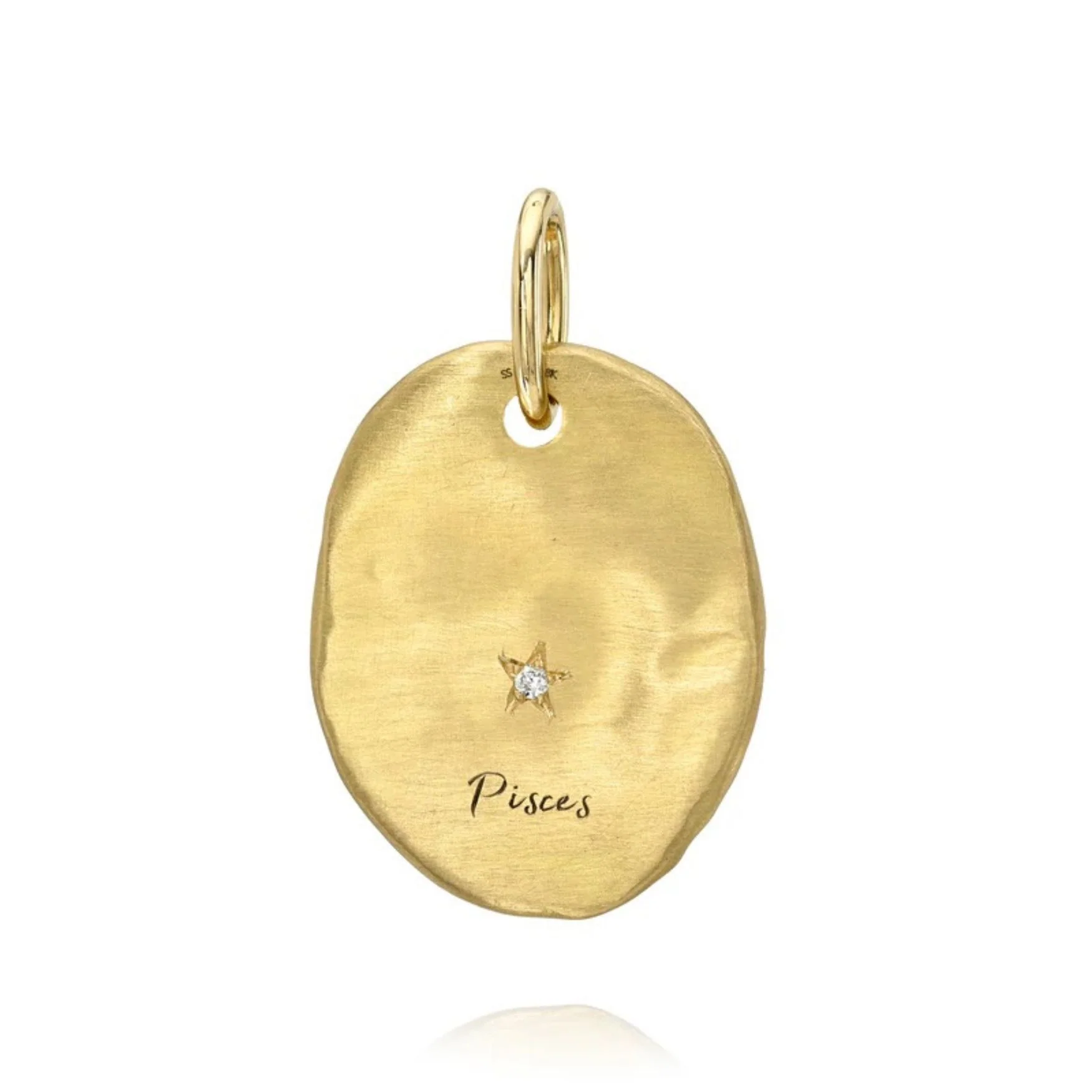 Hammered Oval Zodiac Charm - Image 13