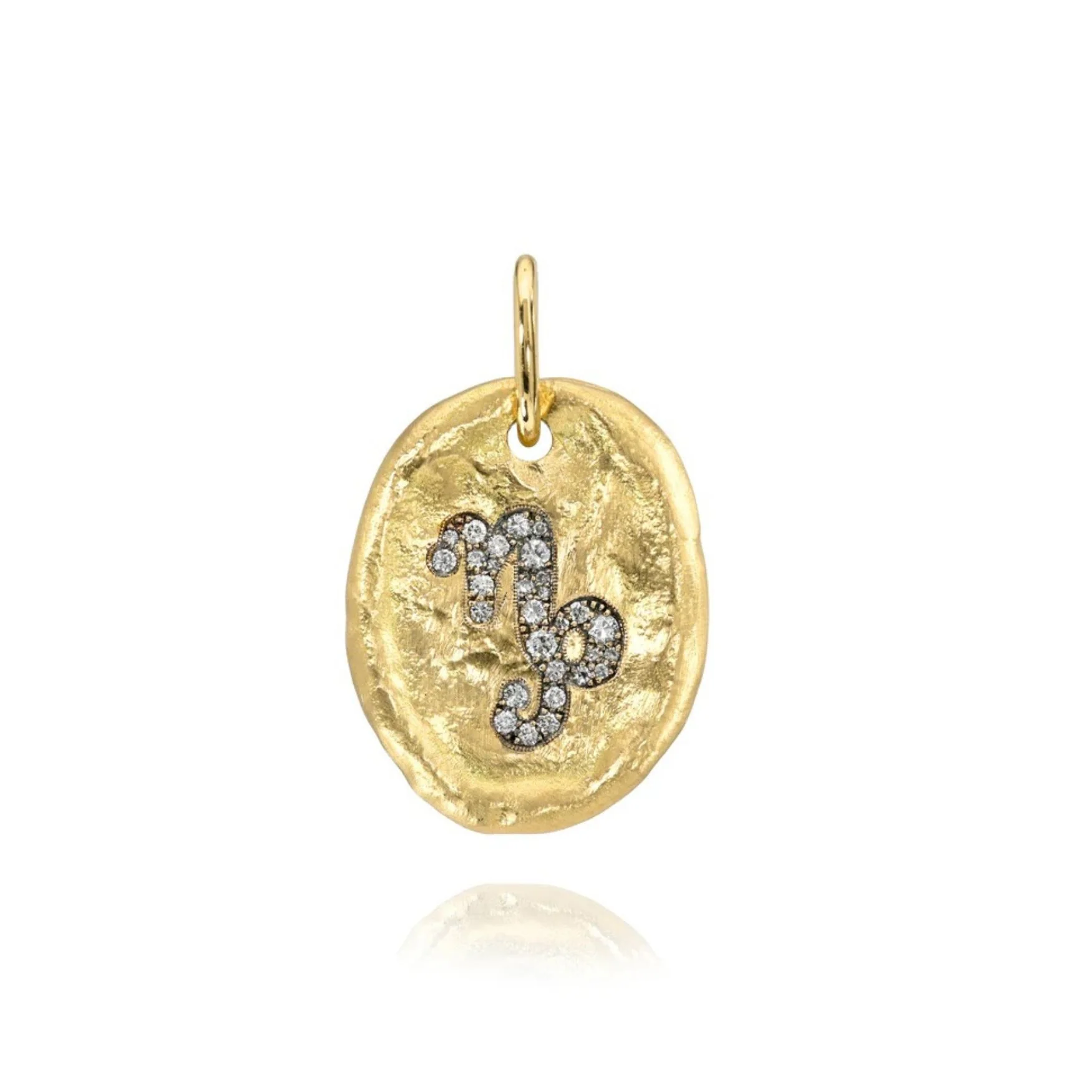 Hammered Oval Zodiac Charm - Image 8