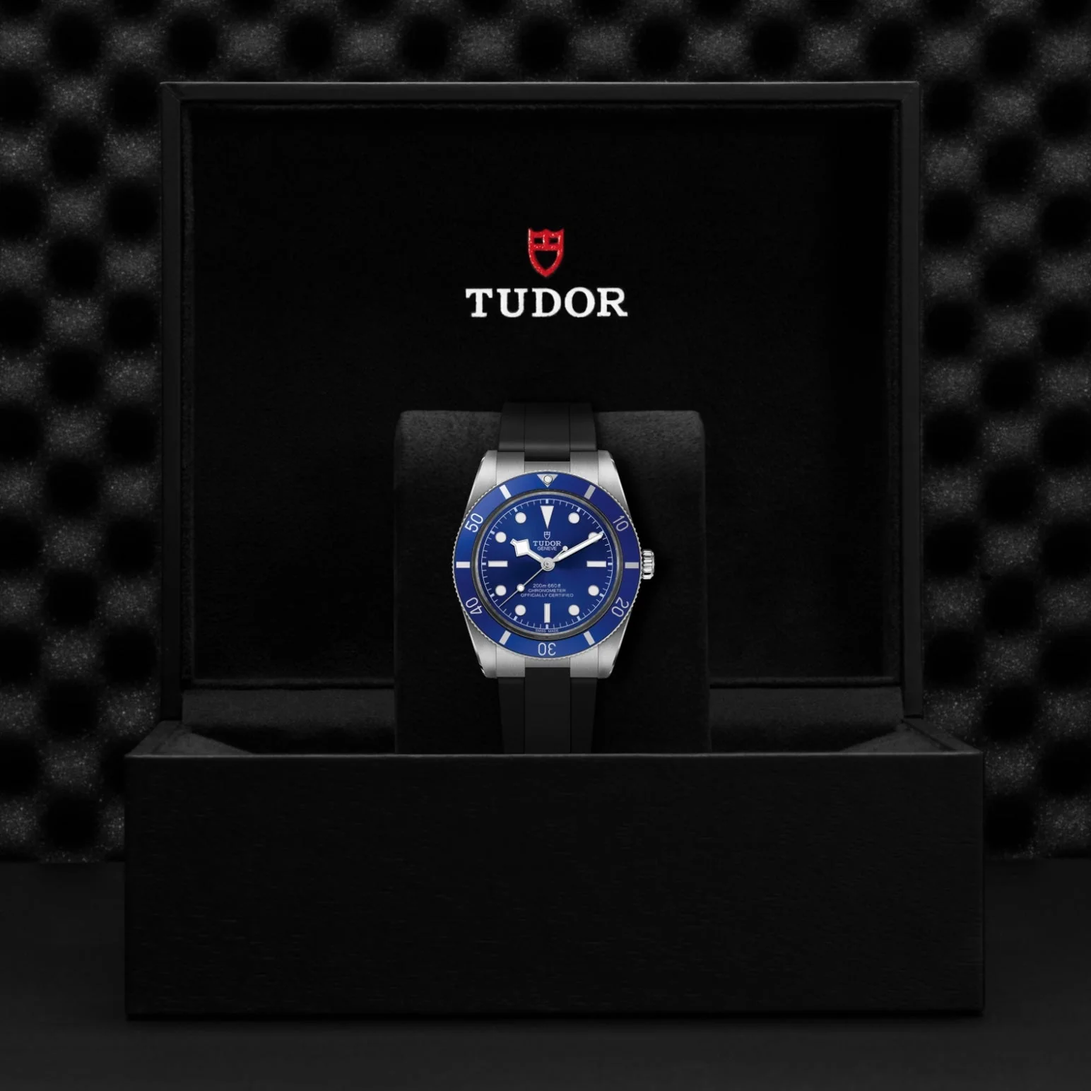 TUDOR Black Bay 54 - Image 4