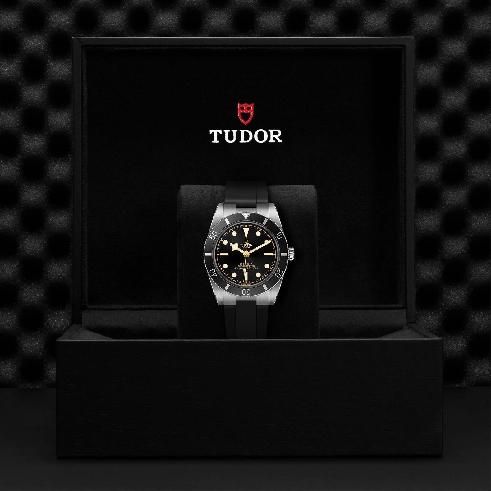 TUDOR Black Bay 54 - Image 4