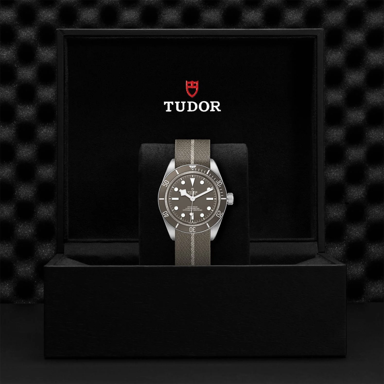 TUDOR Black Bay 58 925 - Image 4