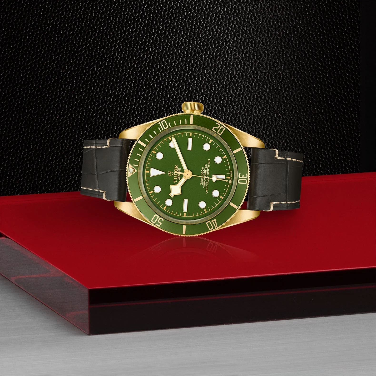 TUDOR Black Bay 58 18K - Image 3