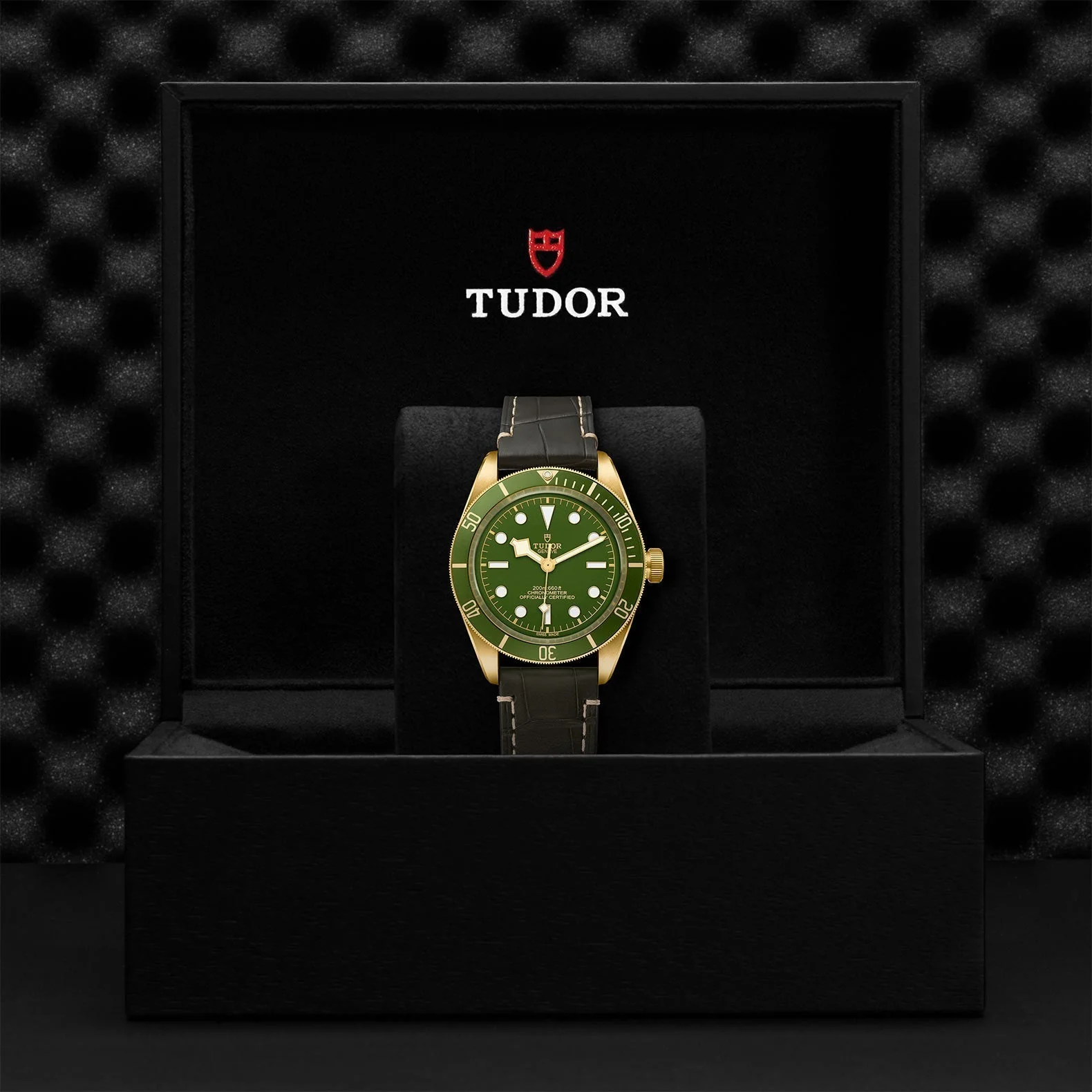 TUDOR Black Bay 58 18K - Image 4
