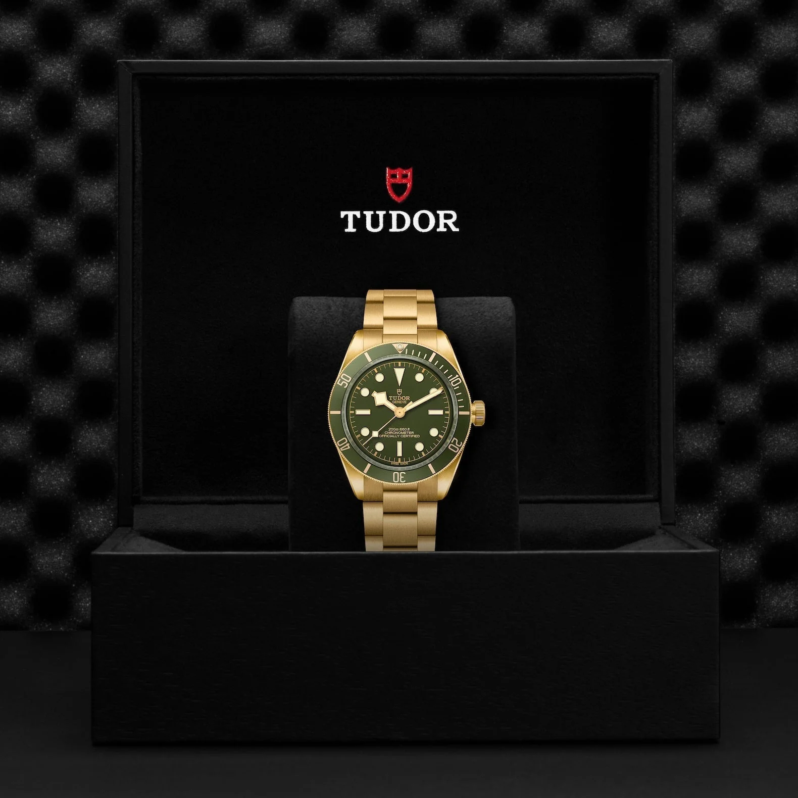 TUDOR Black Bay 58 18K - Image 4