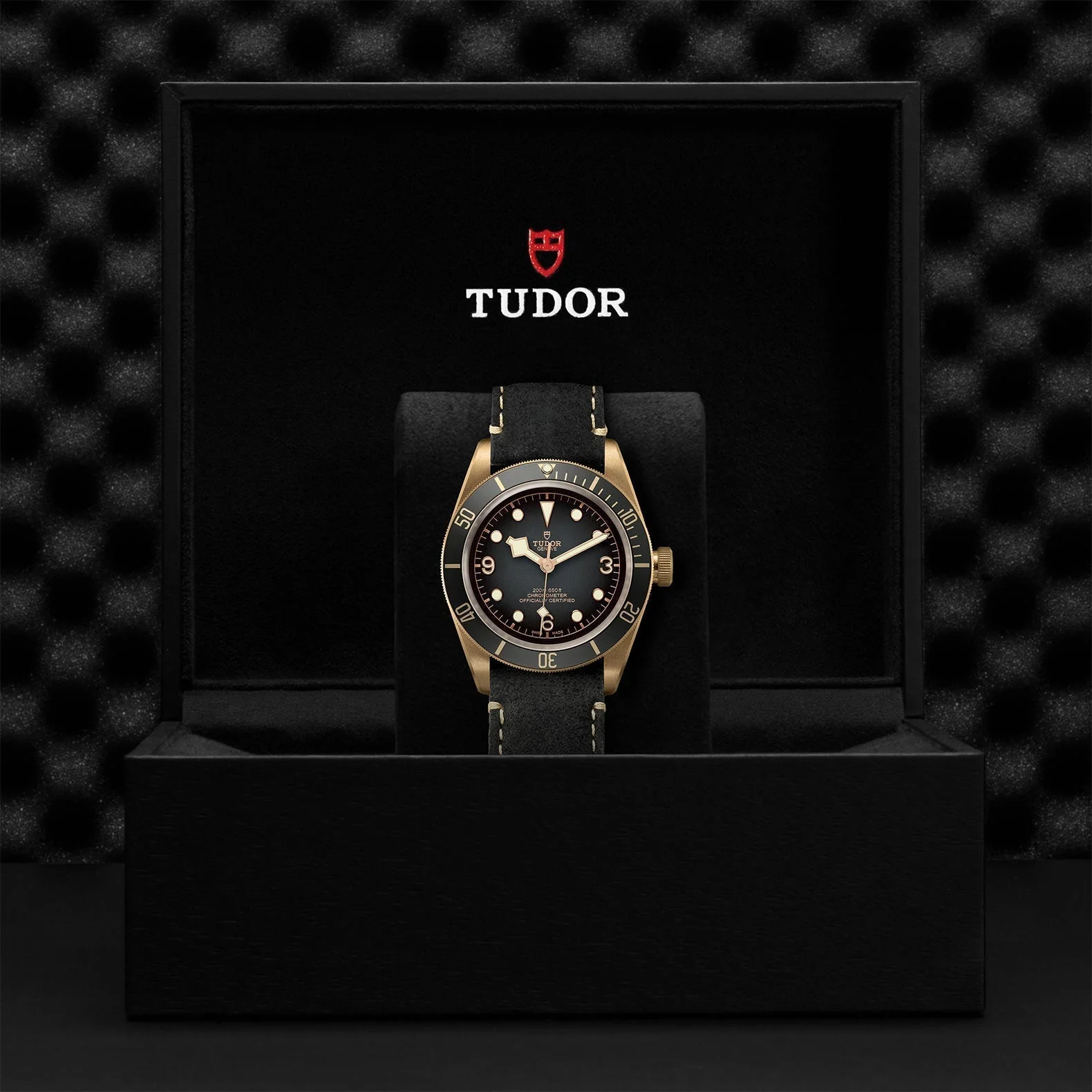 TUDOR Black Bay Bronze - Image 4