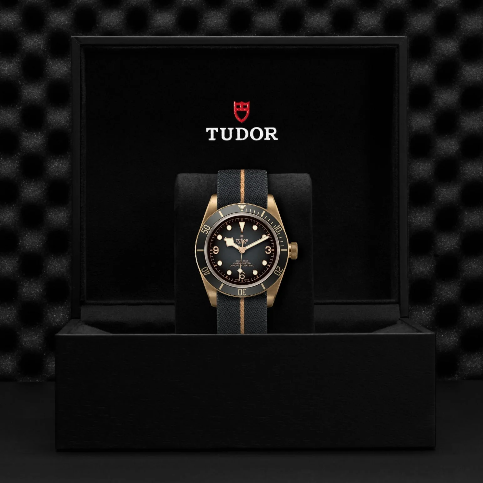TUDOR Black Bay Bronze - Image 4