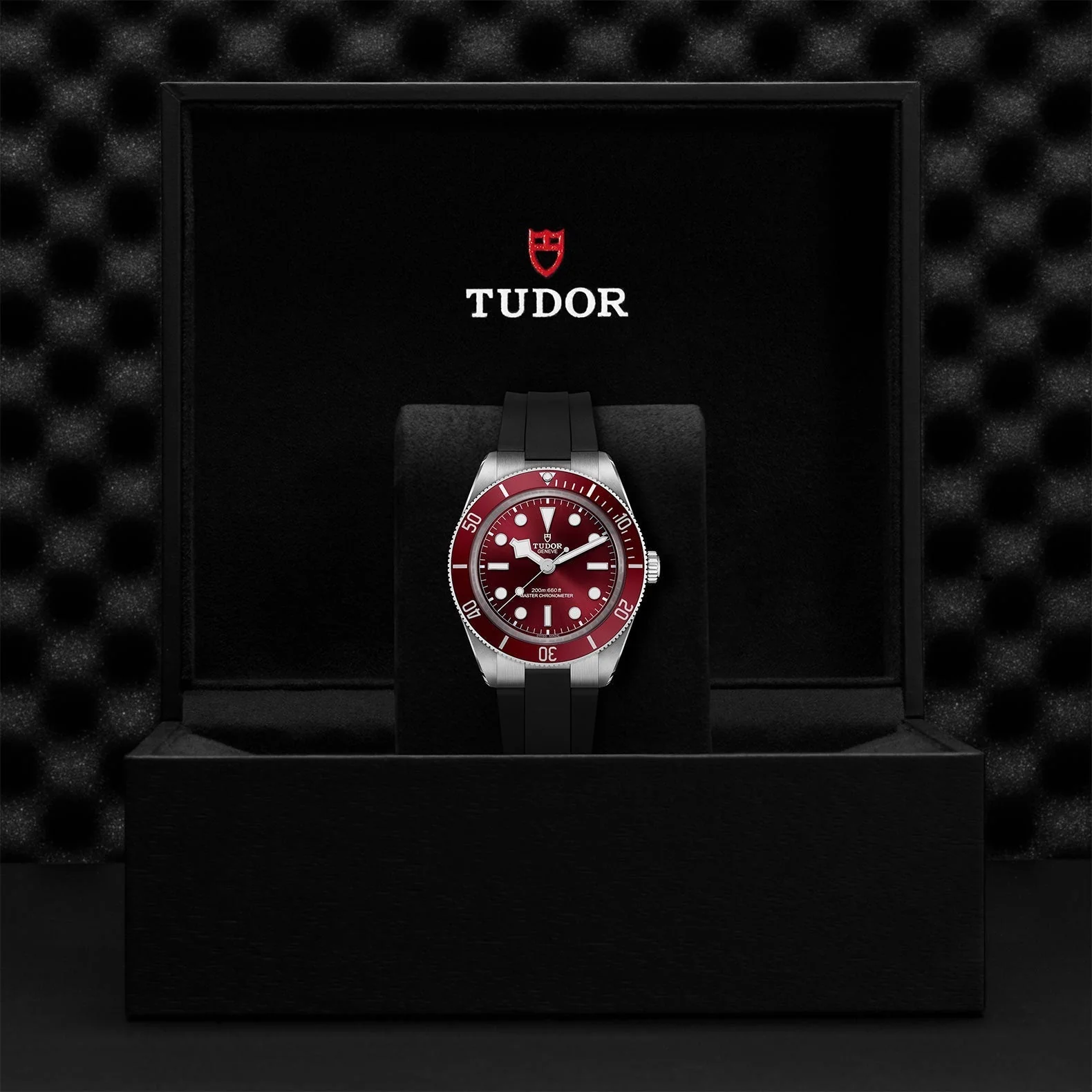 TUDOR Black Bay 58 - Image 4