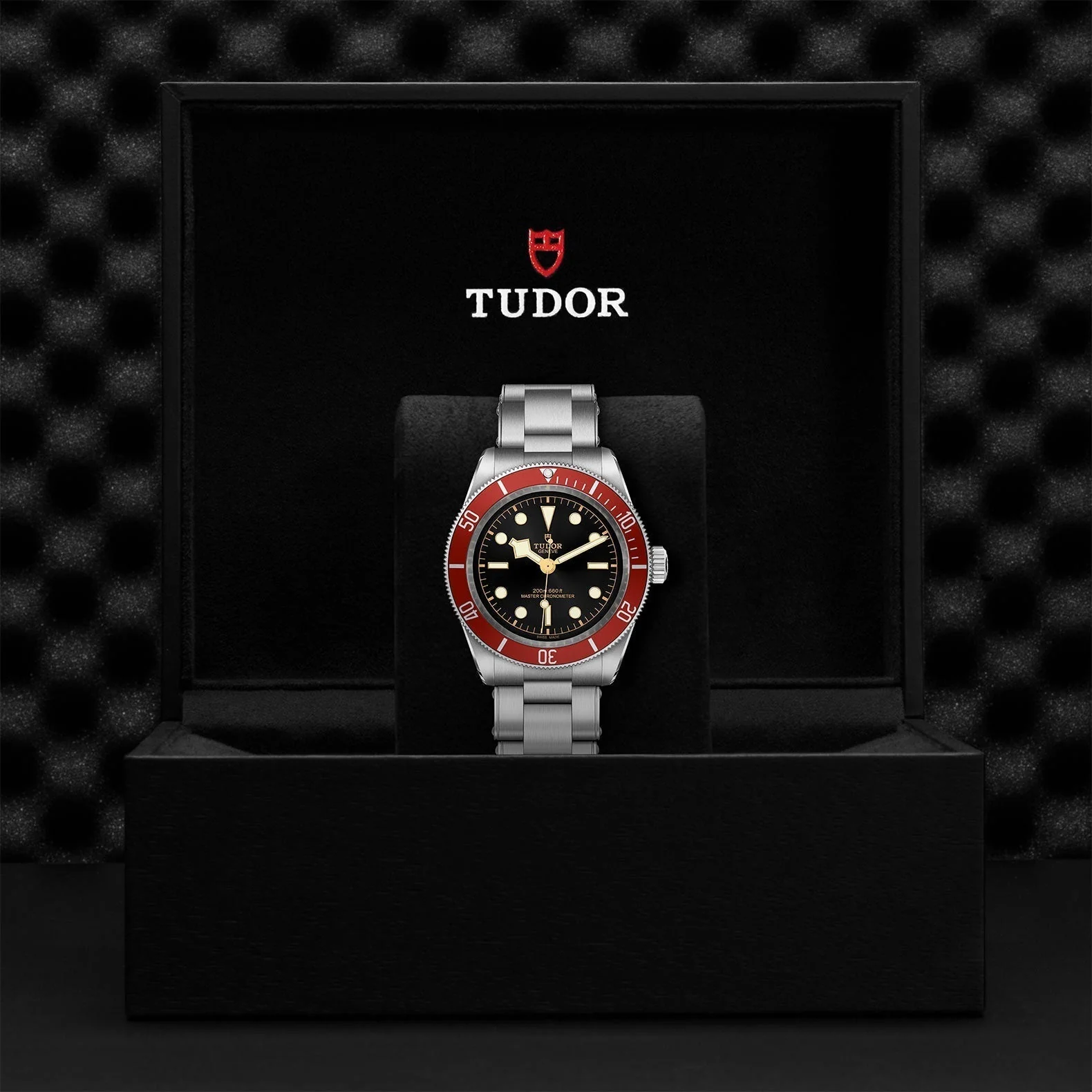 TUDOR Black Bay - Image 4