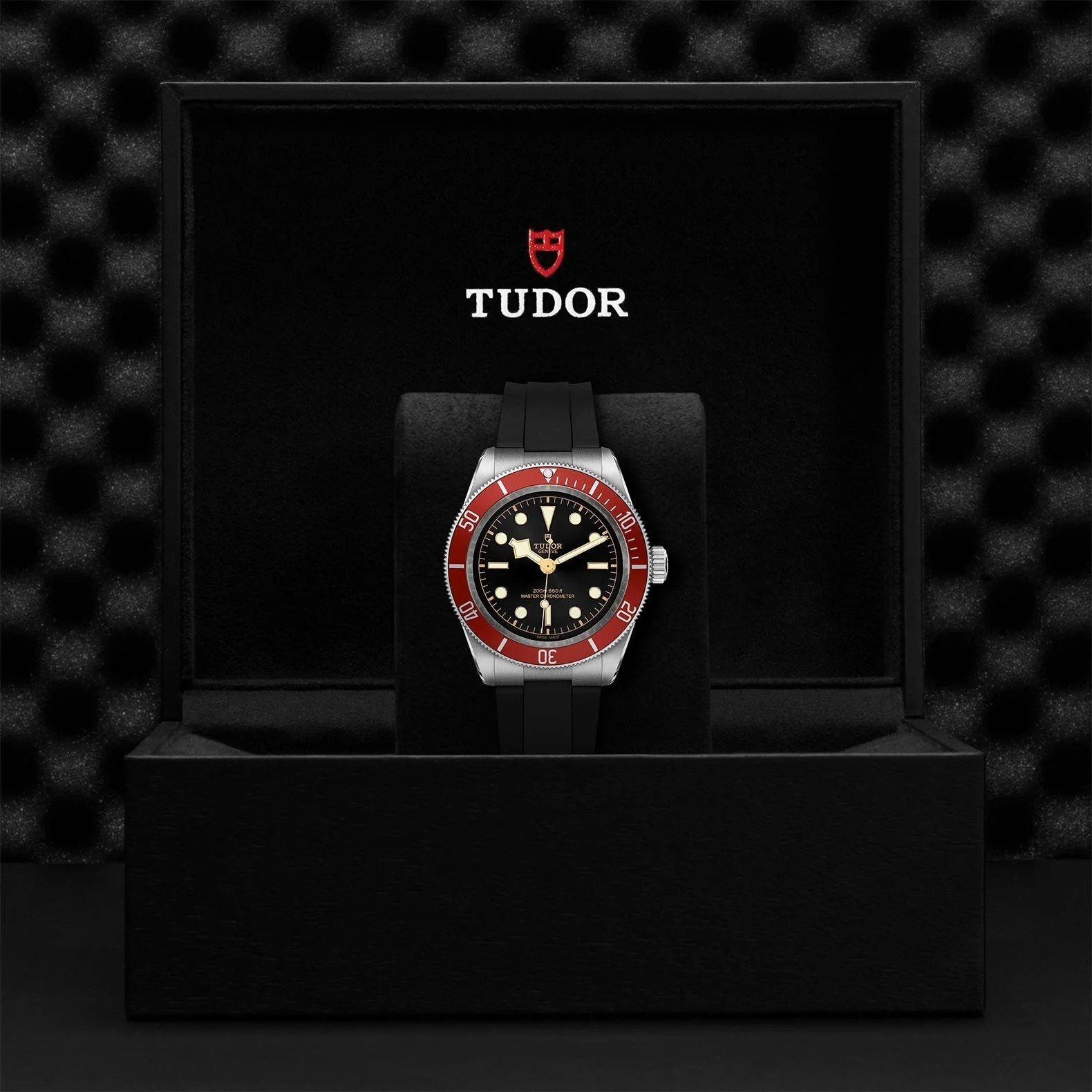 TUDOR Black Bay - Image 4
