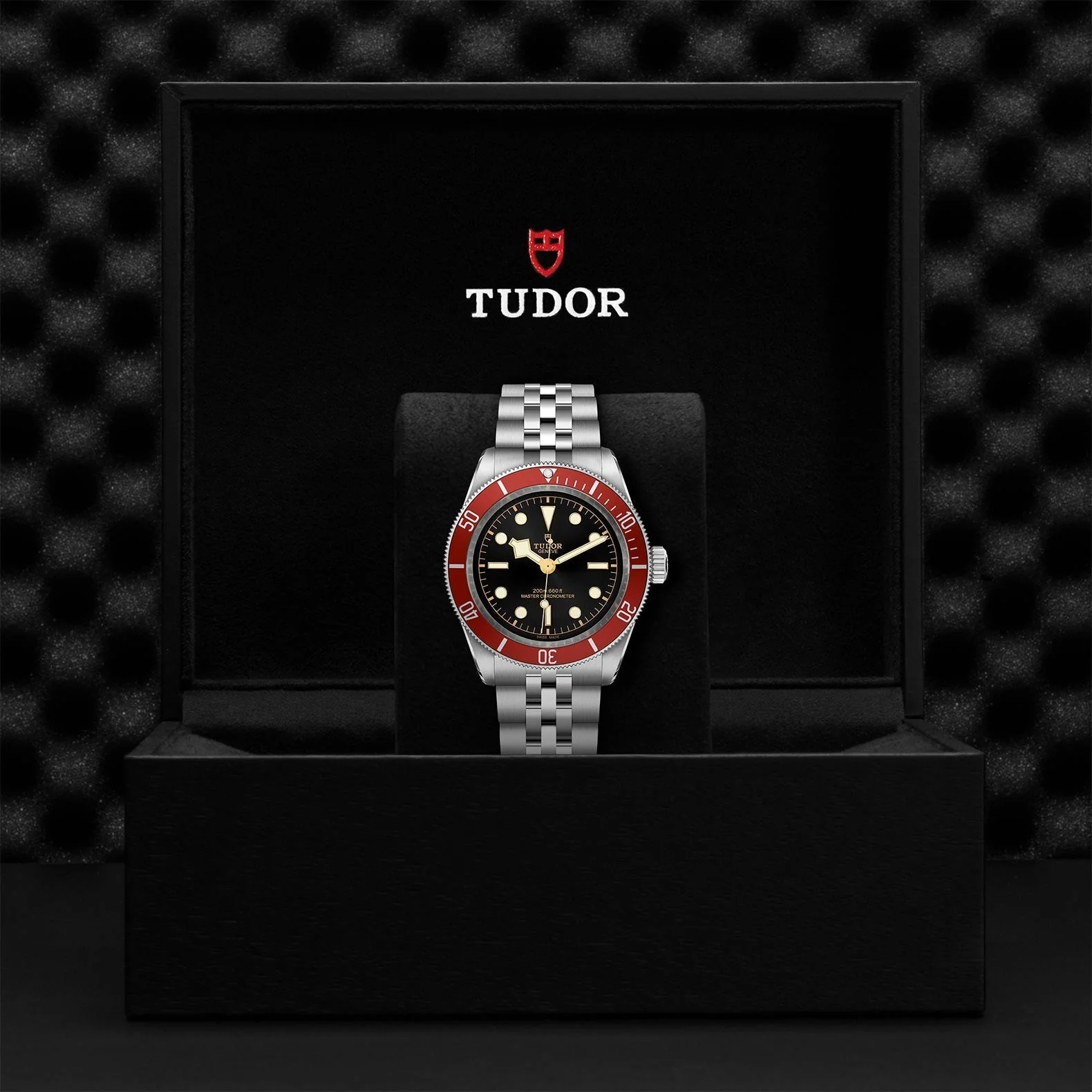 TUDOR Black Bay - Image 4
