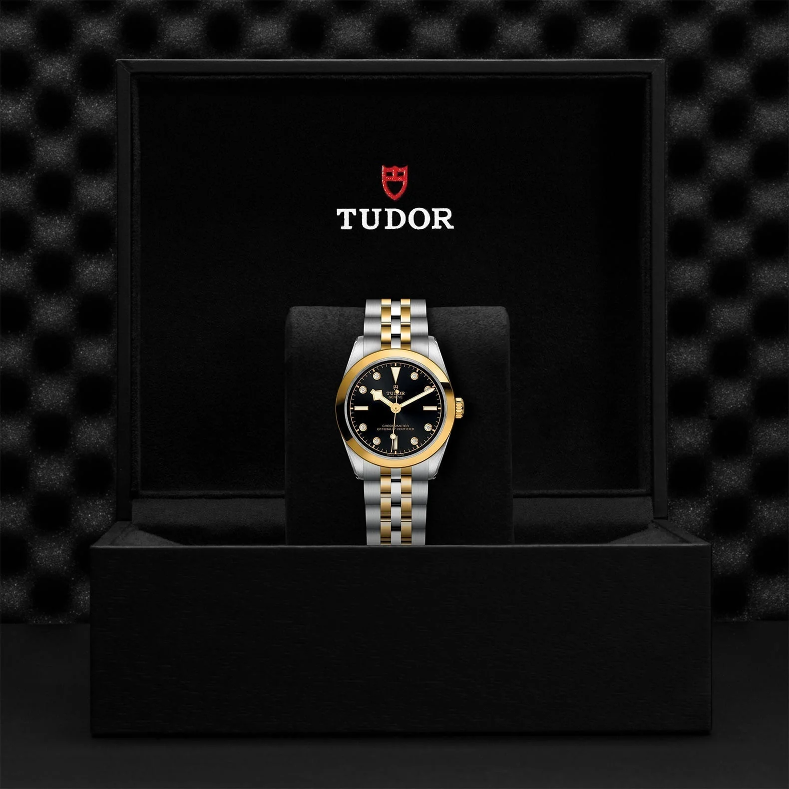 TUDOR Black Bay One 31 S&G - Image 4