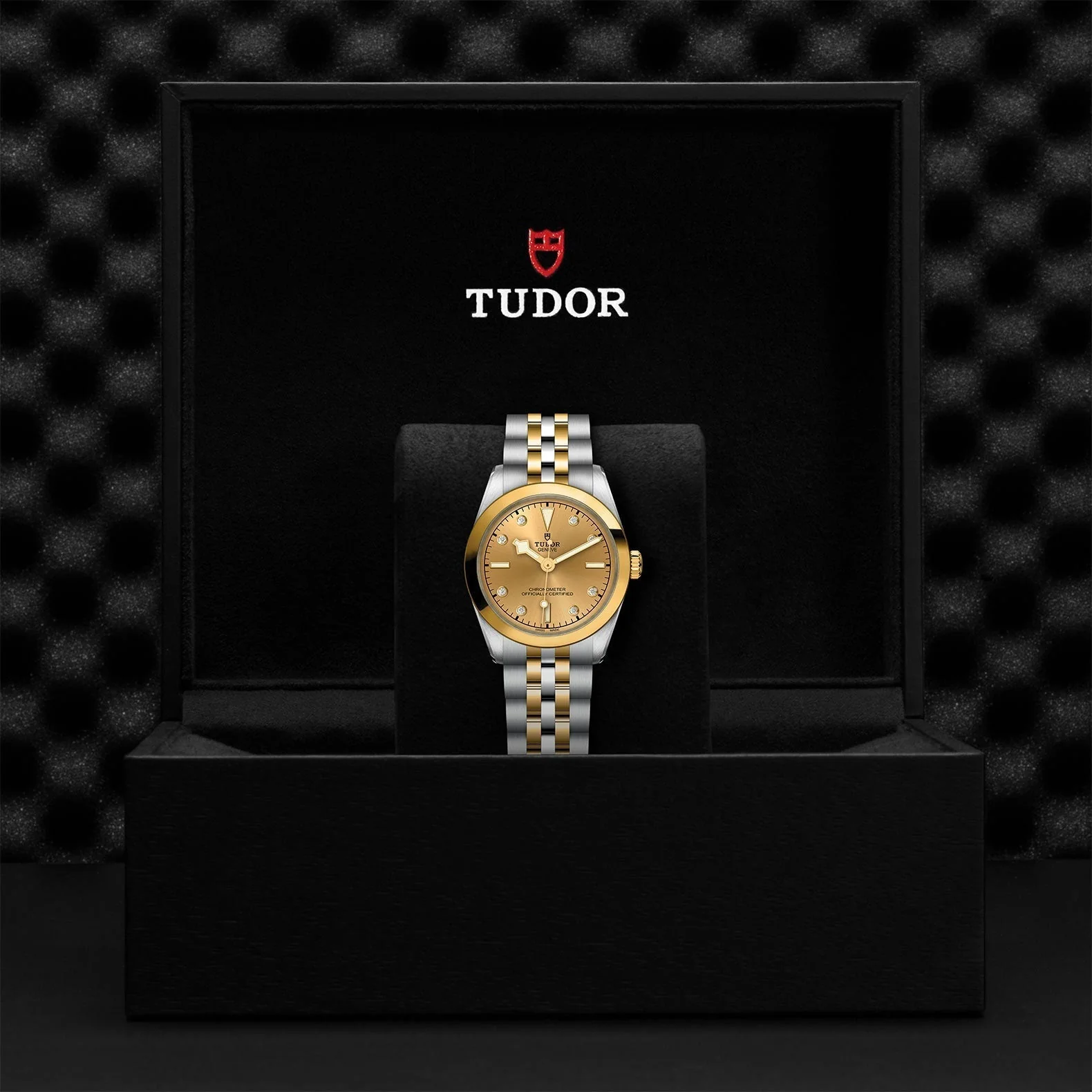 TUDOR Black Bay One 31 S&G - Image 4