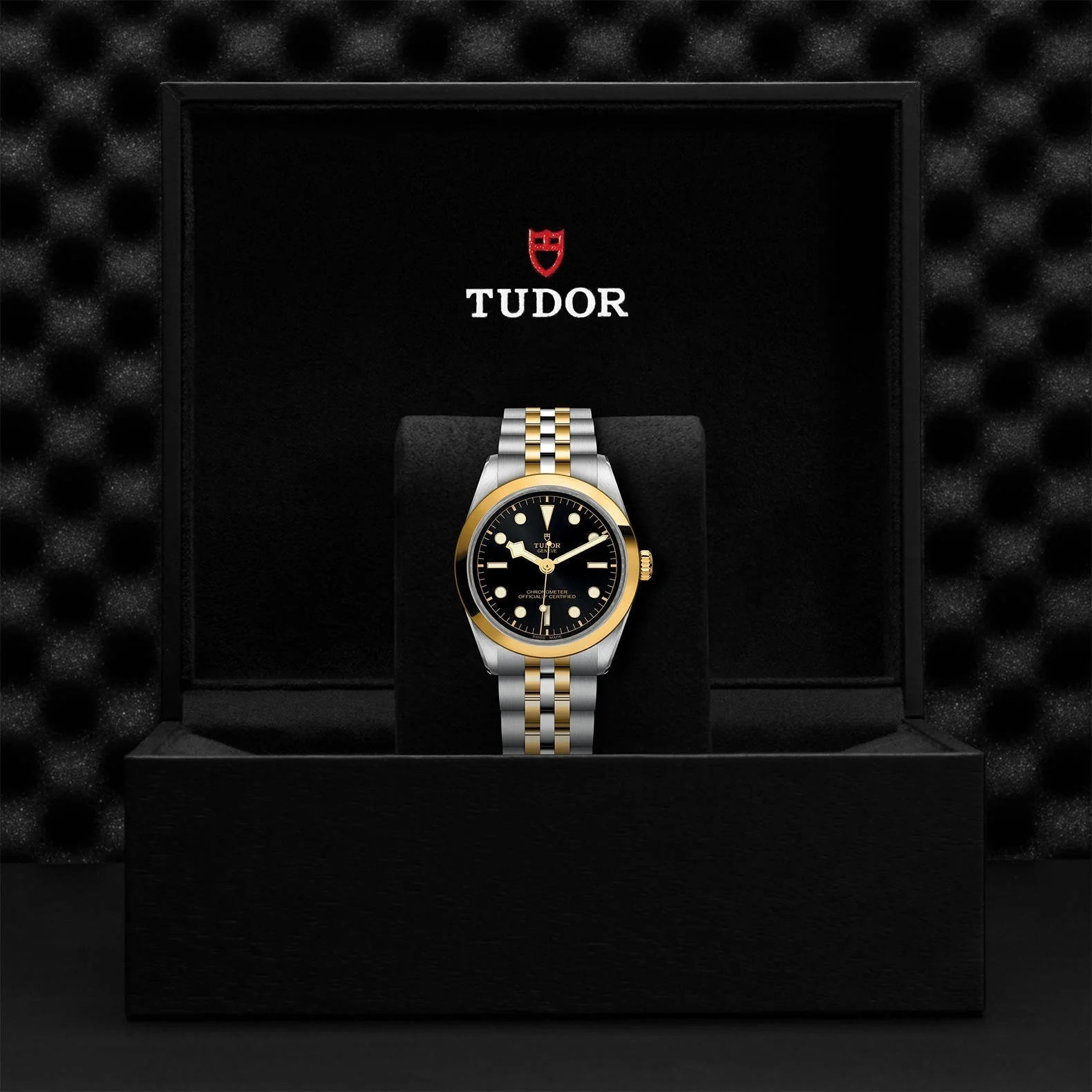 TUDOR Black Bay One 36 S&G - Image 4