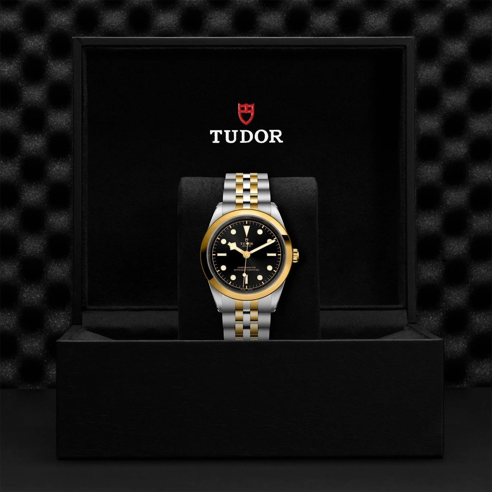 TUDOR Black Bay One 41 S&G - Image 4