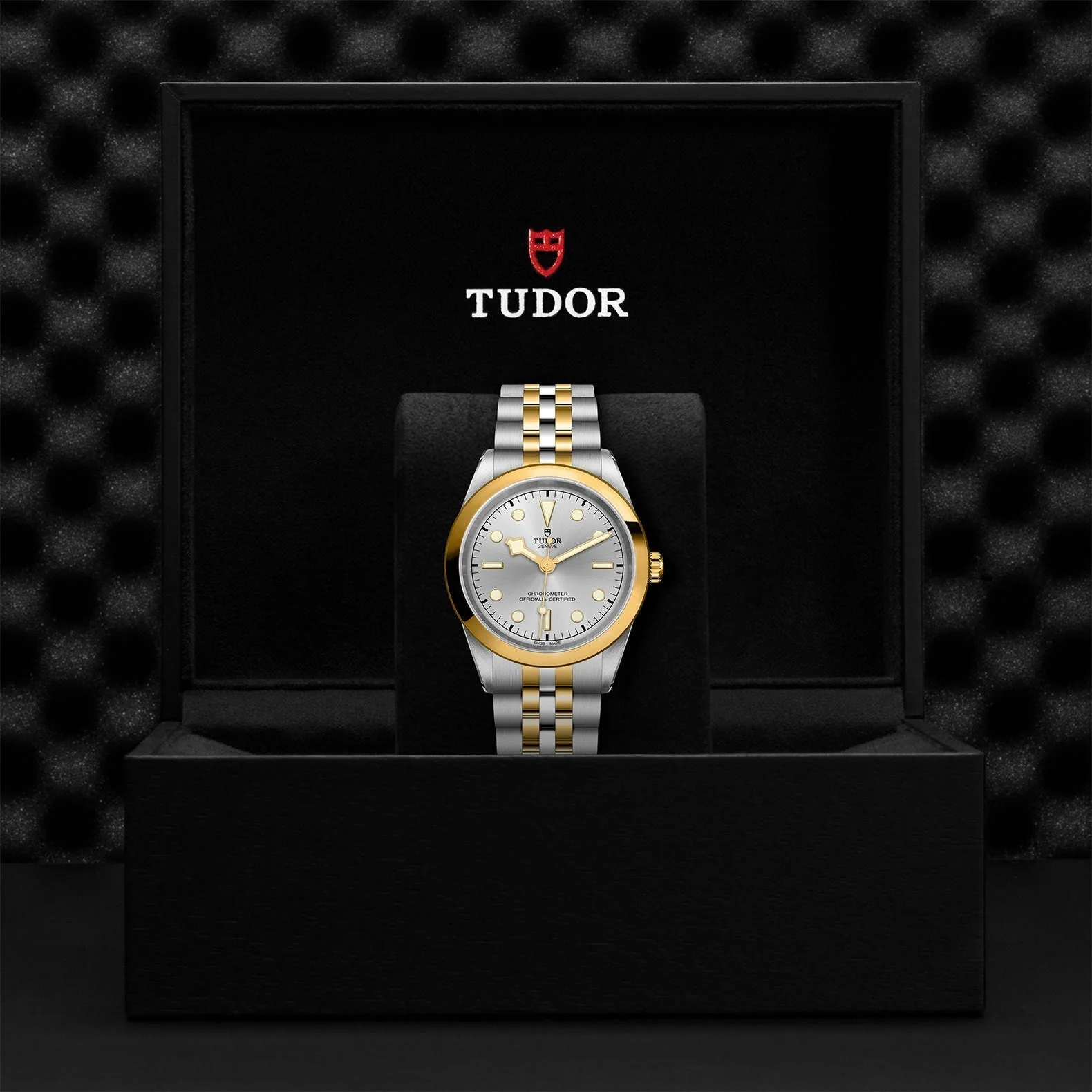 TUDOR Black Bay One 41 S&G - Image 4
