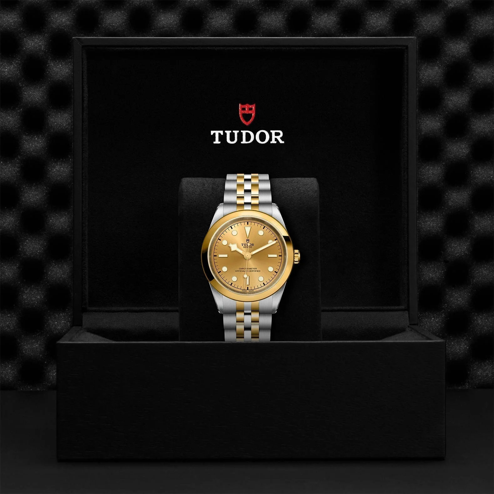 TUDOR Black Bay One 41 S&G - Image 4